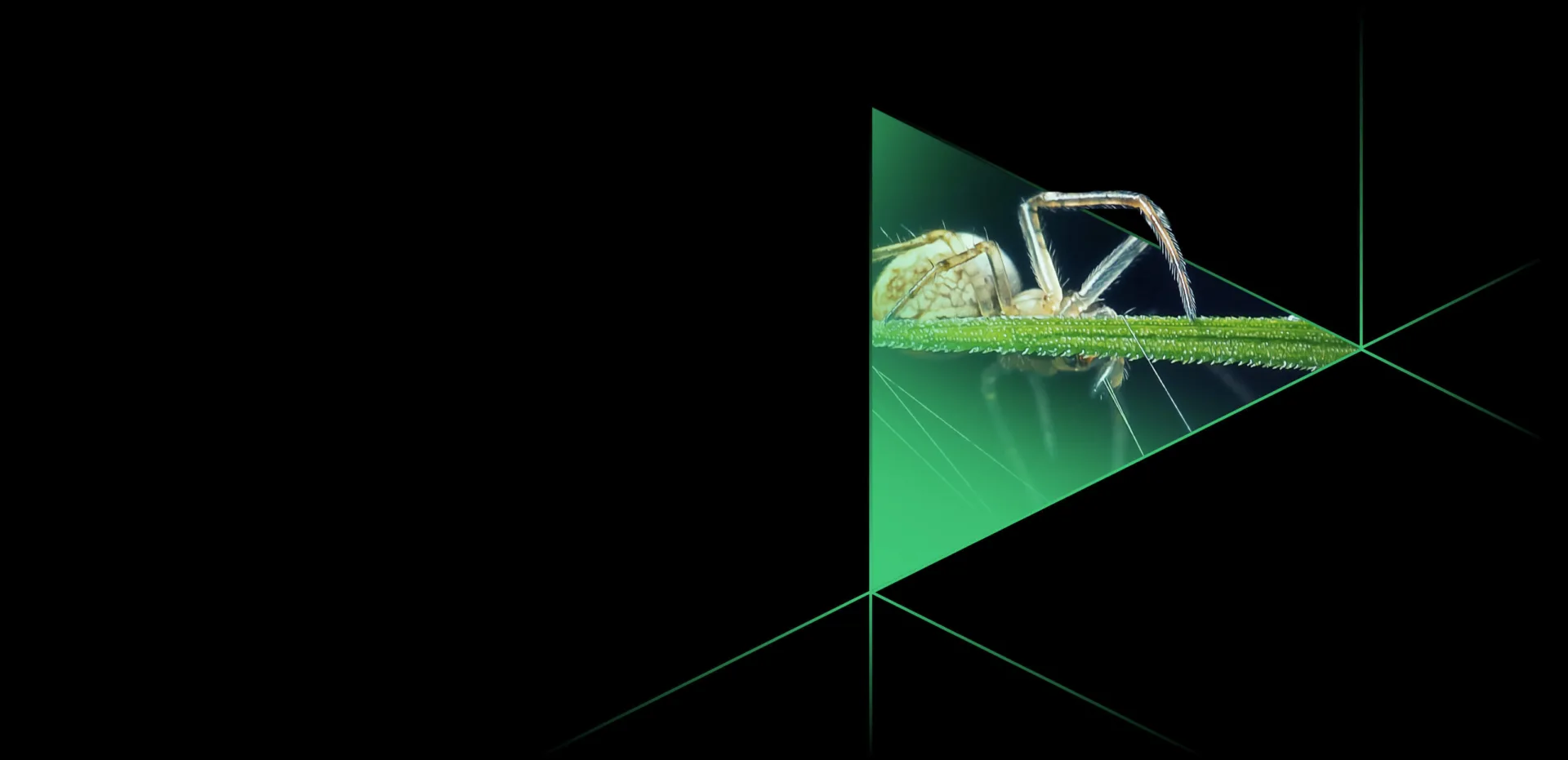 Cyber threat intelligence